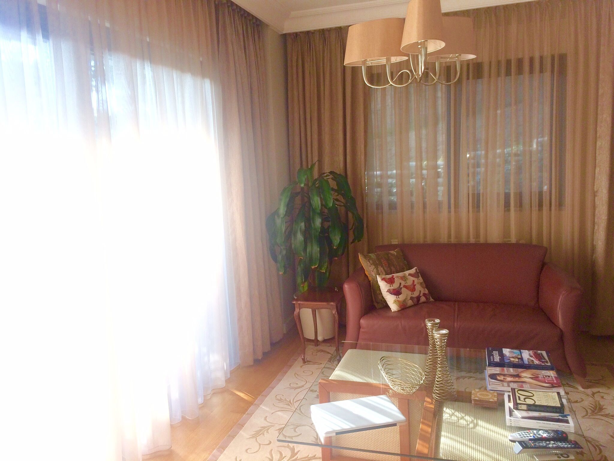 Chic, cosy, central and clean flat with a lavender garden 