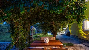 Een terras buiten met een houten tafel en stoelen, omgeven door weelderige begroeiing en een stenen pad.