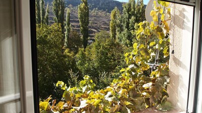 Dulce Encanto Del Valle-Almendro