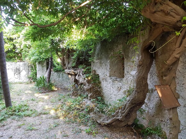 Overnattingsstedets uteområder