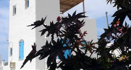 Elegant Cycladic House