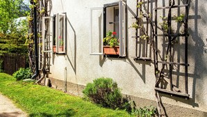 Un bâtiment doté de deux fenêtres, l’une ornée d’un treillis en bois et l’autre d’un cadre blanc. On y trouve un petit jardin avec un arbuste et une plante en pot.