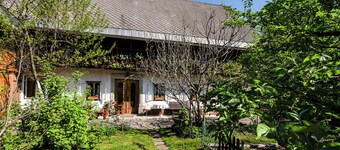 House, garden and a green cat