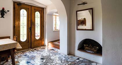 House, garden and a green cat