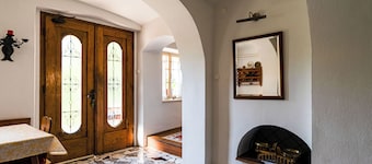 House, garden and a green cat