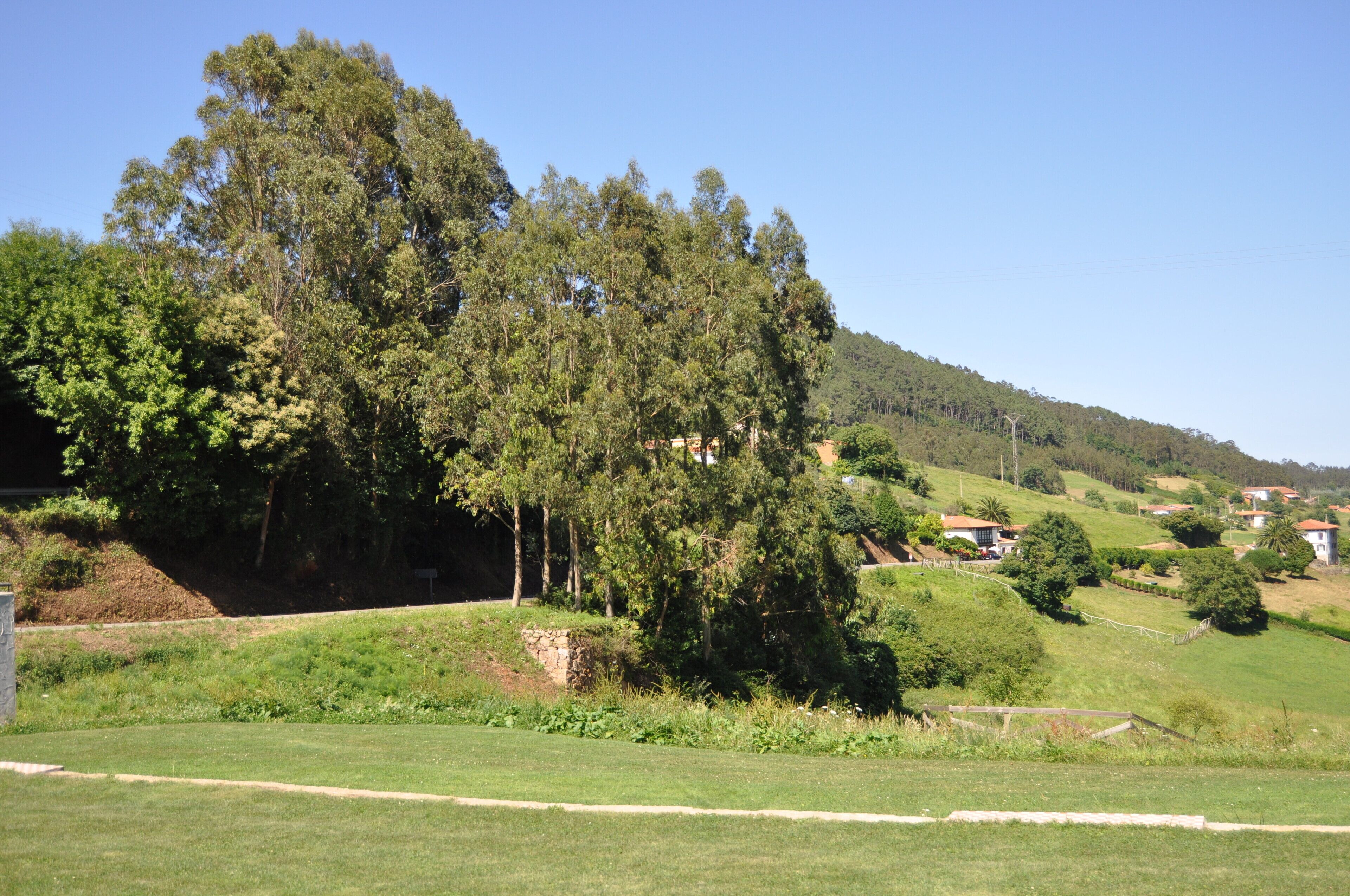 A rural landscape with a large tree, a stone wall, and a few houses on a hillside.