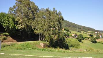 A rural landscape with a large tree, a stone wall, and a few houses on a hillside.