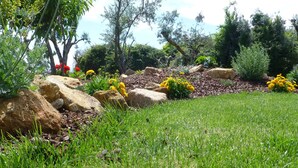 A garden with green grass, yellow flowers, and large rocks. - Casa do Olival, Guest accommodation in Figueiró dos Vinhos. (Figueiró dos Vinhos)