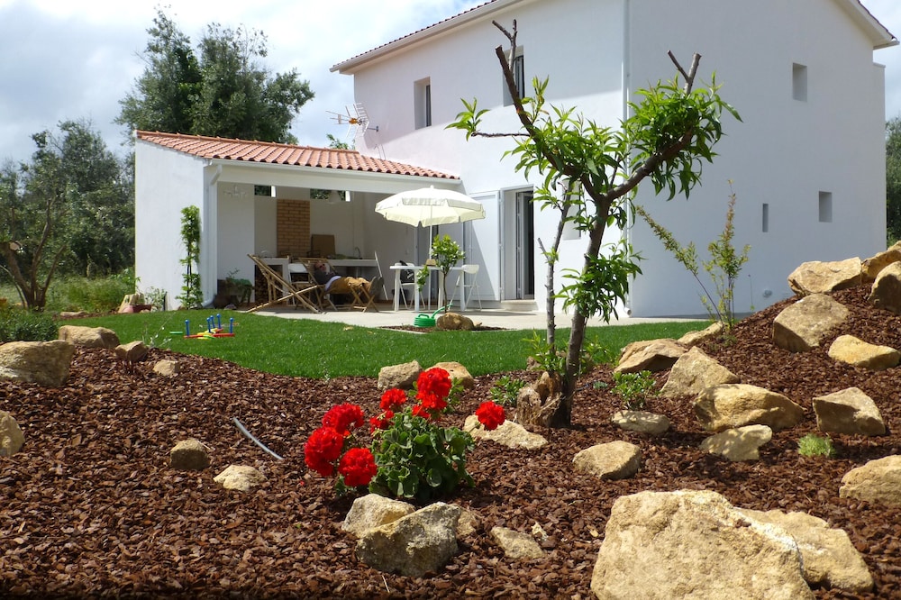 Casa do Olival, Guest accommodation in Figueiró dos Vinhos.