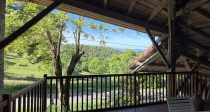 APARTMENT T1 bis overlooking Pyrenees