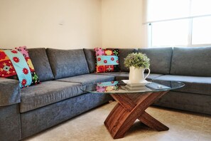 Smart-TV, Kamin, DVD-Player, Bücher