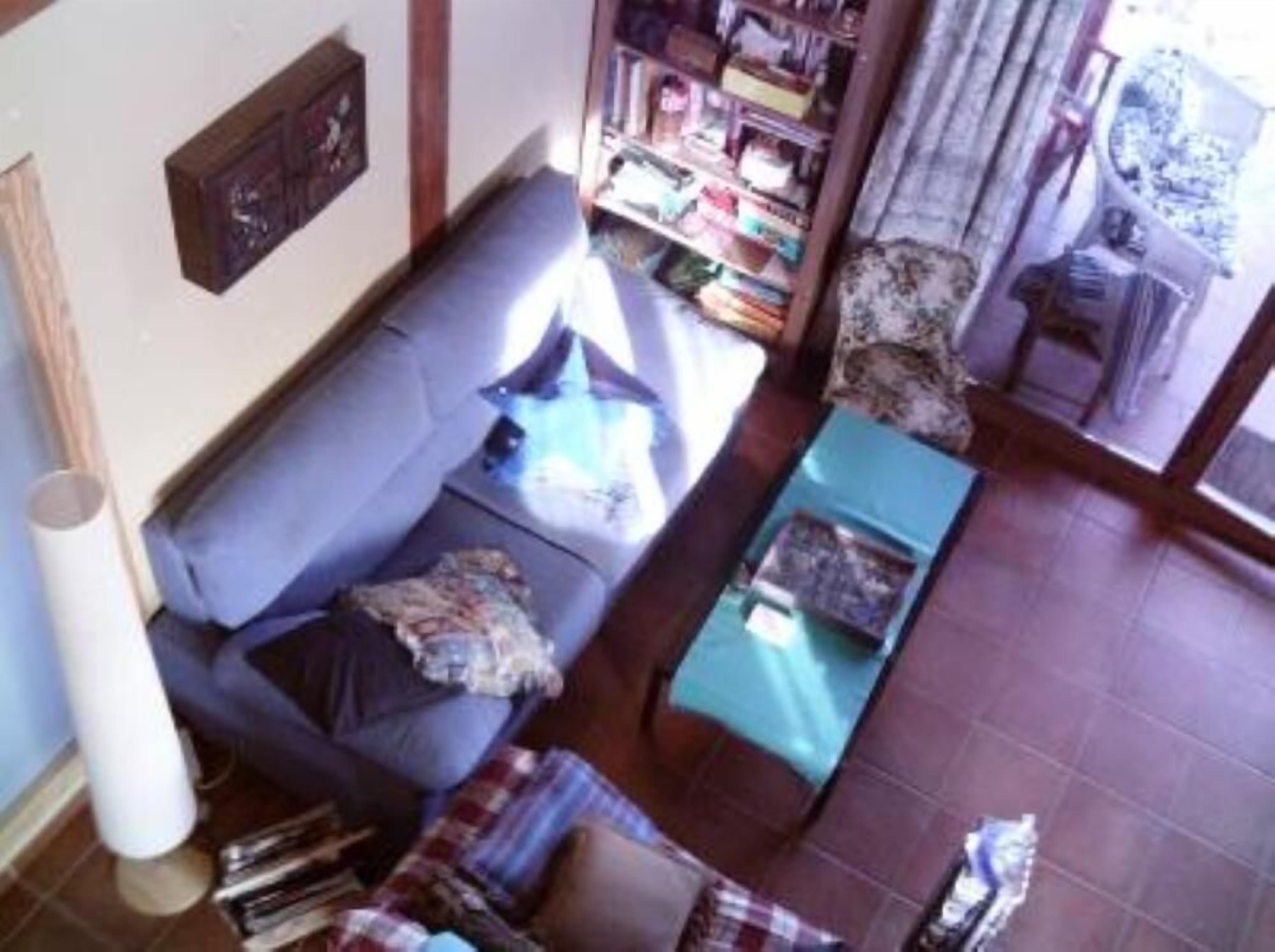 Country Cottage / Gite - Villanueva de CarazoHouse with garden