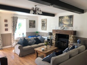 Smart TV, fireplace, books