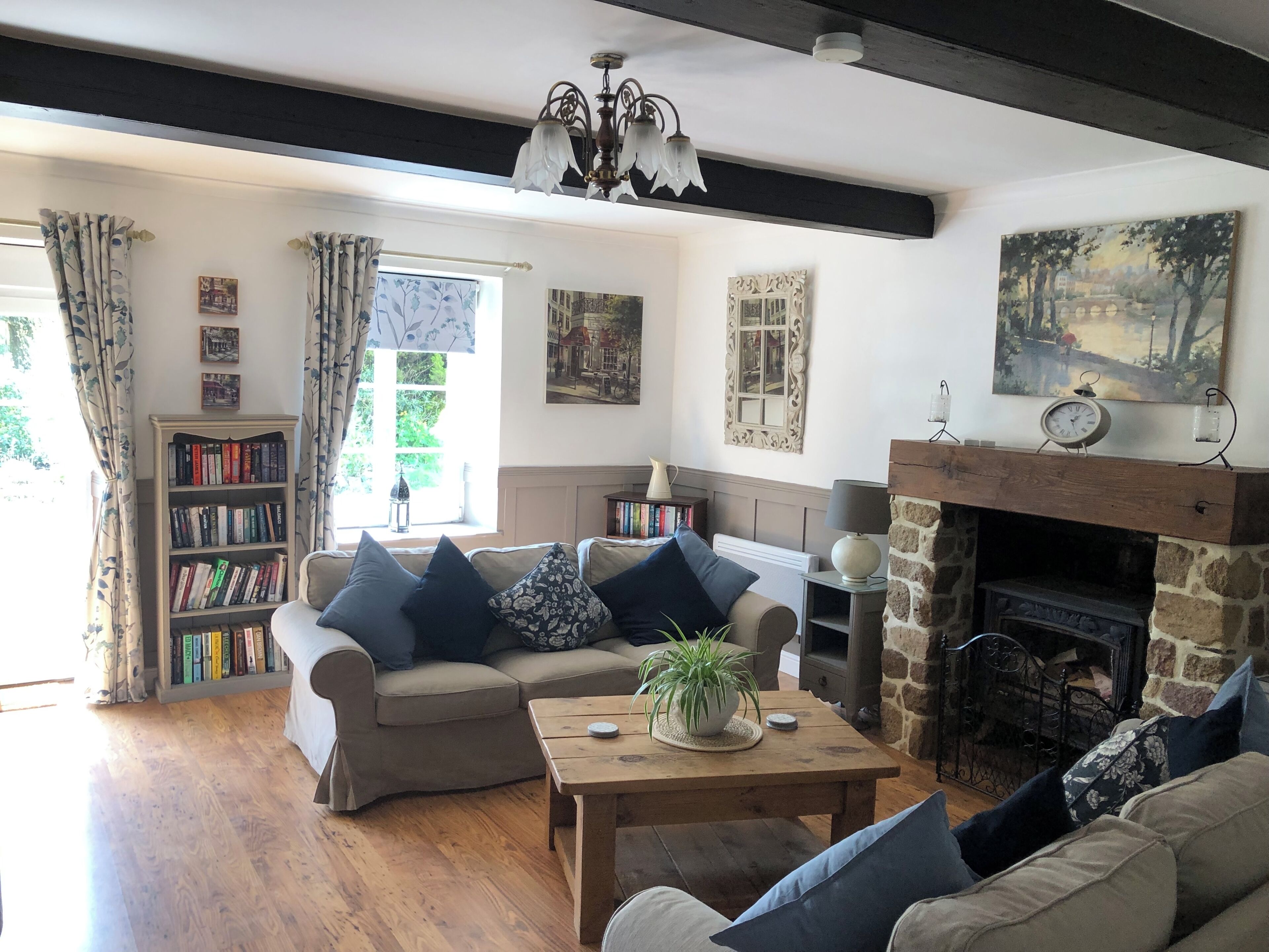 Smart TV, fireplace, books