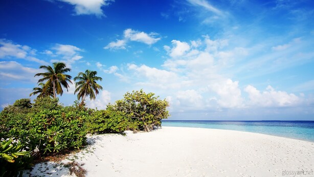 A beach with white sand and clear blue water, palm trees, and lush greenery.