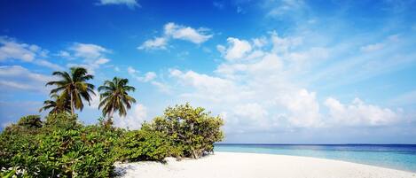 Beach nearby, beach towels