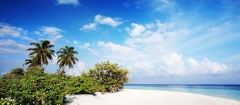 Suelynda's Place - In the beautiful and historic village of Black Rock Tobago