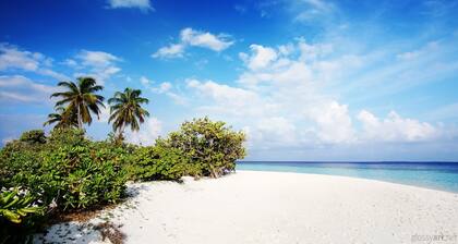 Suelynda's Place - In the beautiful and historic village of Black Rock Tobago