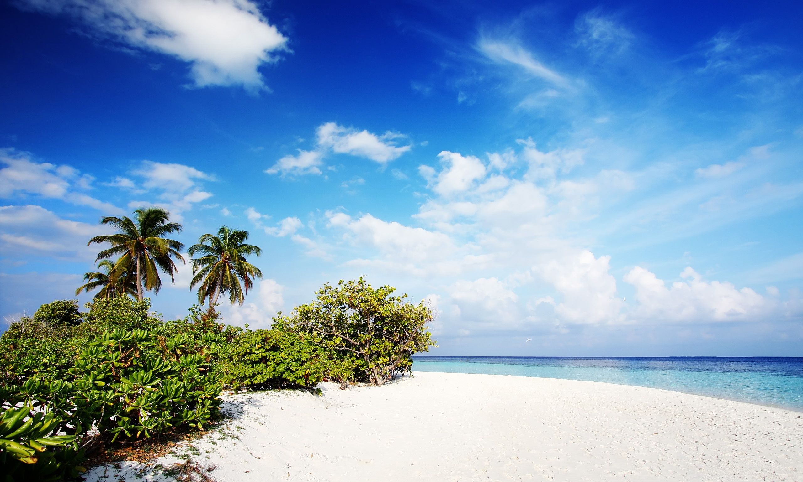 Een strand met wit zand en helderblauw water, palmbomen en weelderige begroeiing.