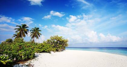 Suelynda's Place - In the beautiful and historic village of Black Rock Tobago