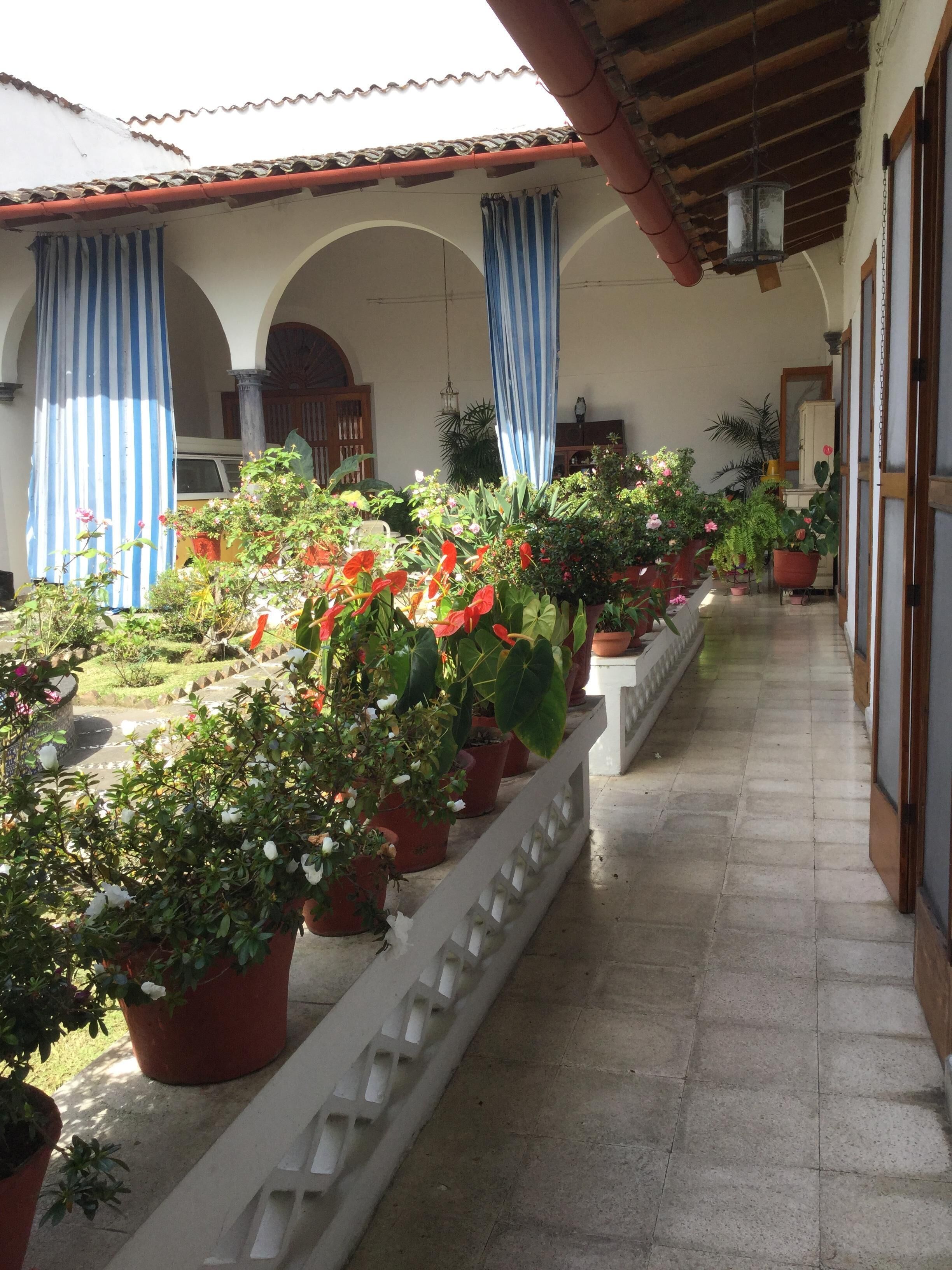 garden
jardin 