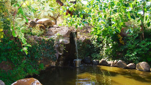A natural water feature with a small waterfall, surrounded by rocks and greenery. - Self catering El Manantial del Fresno for 4 people (Hervás)