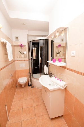 Haartrockner, Handtücher, Shampoo, Toilettenpapier