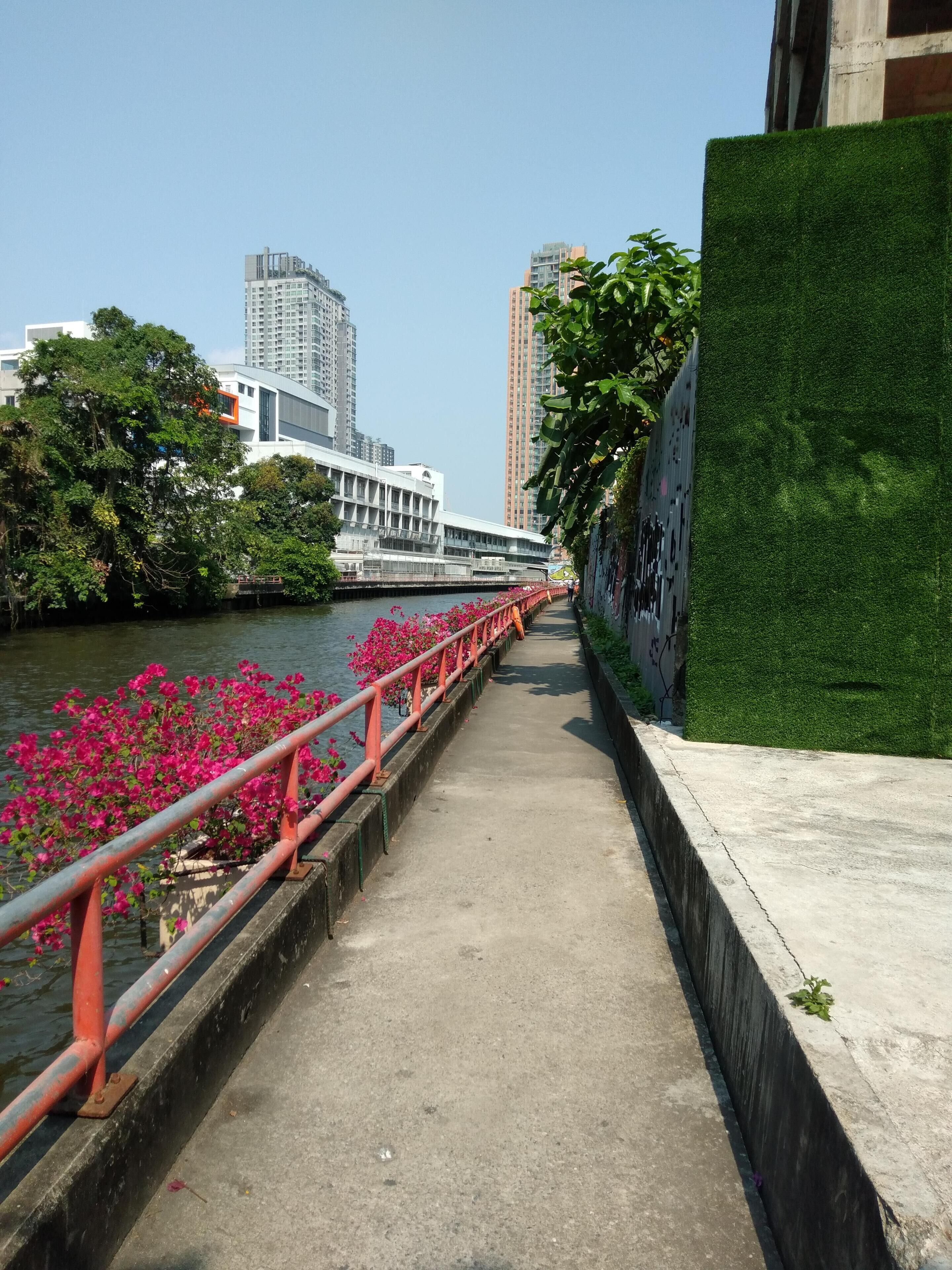 A concrete pathway alongside a river with pink flowers, a bridge, and modern buildings in the background.