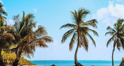 Suite nuptiale - particuliÚrement adaptée à une escapade intime luxueuse.