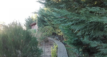 SOBARBO FIELD - Rural Guest House