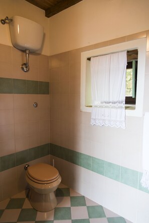 Chuveiro/banheira combinados, secador de cabelo, bidê, toalhas de banho