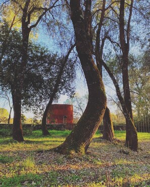 Property grounds - Farm of 3 has fenced, with two-story house and stables with dressage track (La Adrada)