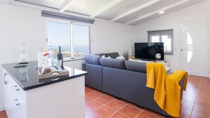 A modern living room with a grey sofa, a small kitchen area with a blender, and a TV on a stand. - Apartment Casa Anny 2 (Madeira)