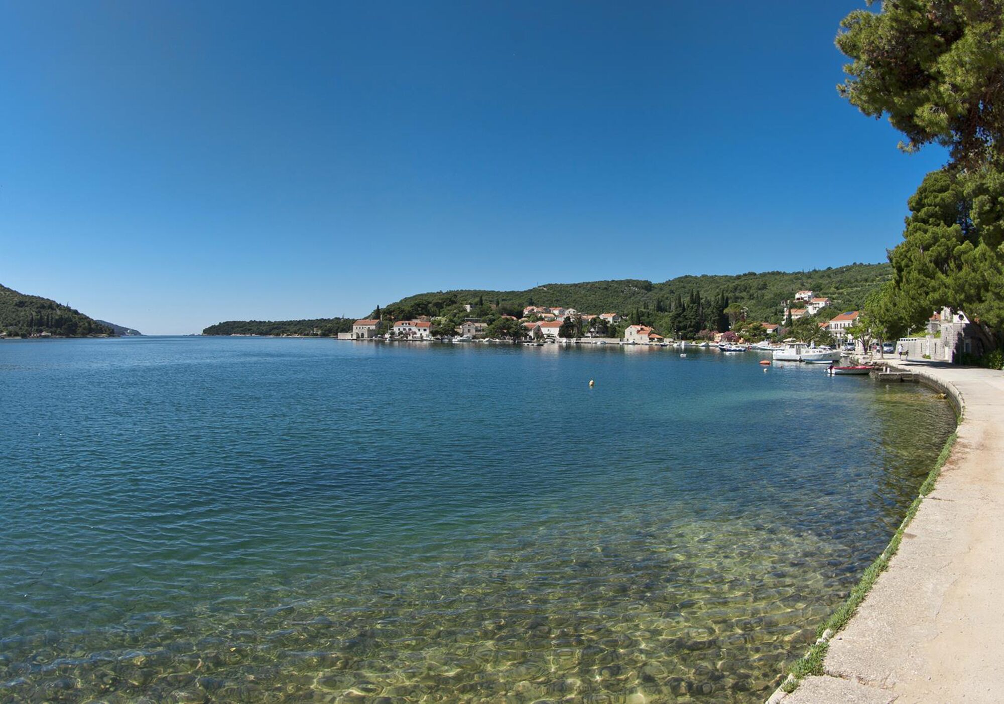 ビーチの近く、サンラウンジャー