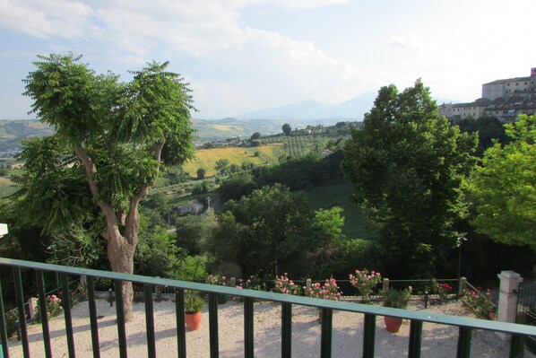 Property grounds - Vacation Home 'Il Bassotto' Spinetoli Ascoli Piceno San Benedetto del Tront (Spinetoli)