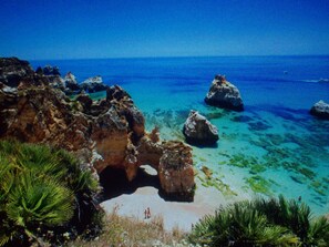 Plage à proximité, chaises longues, serviettes de plage