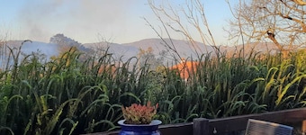 Casinha Nº461 - Rustic House