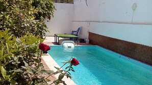 A swimming pool with a clear blue water, surrounded by a white wall and a garden with green plants and a red rose.