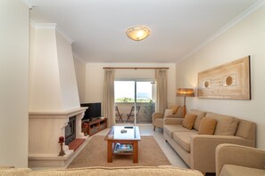 TV, fireplace, DVD player, books