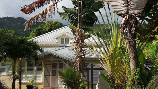 A tropical garden with a large palm tree, a pathway, and a building with a white roof.
