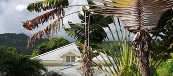 Creole Villa - Bed and Breakfast