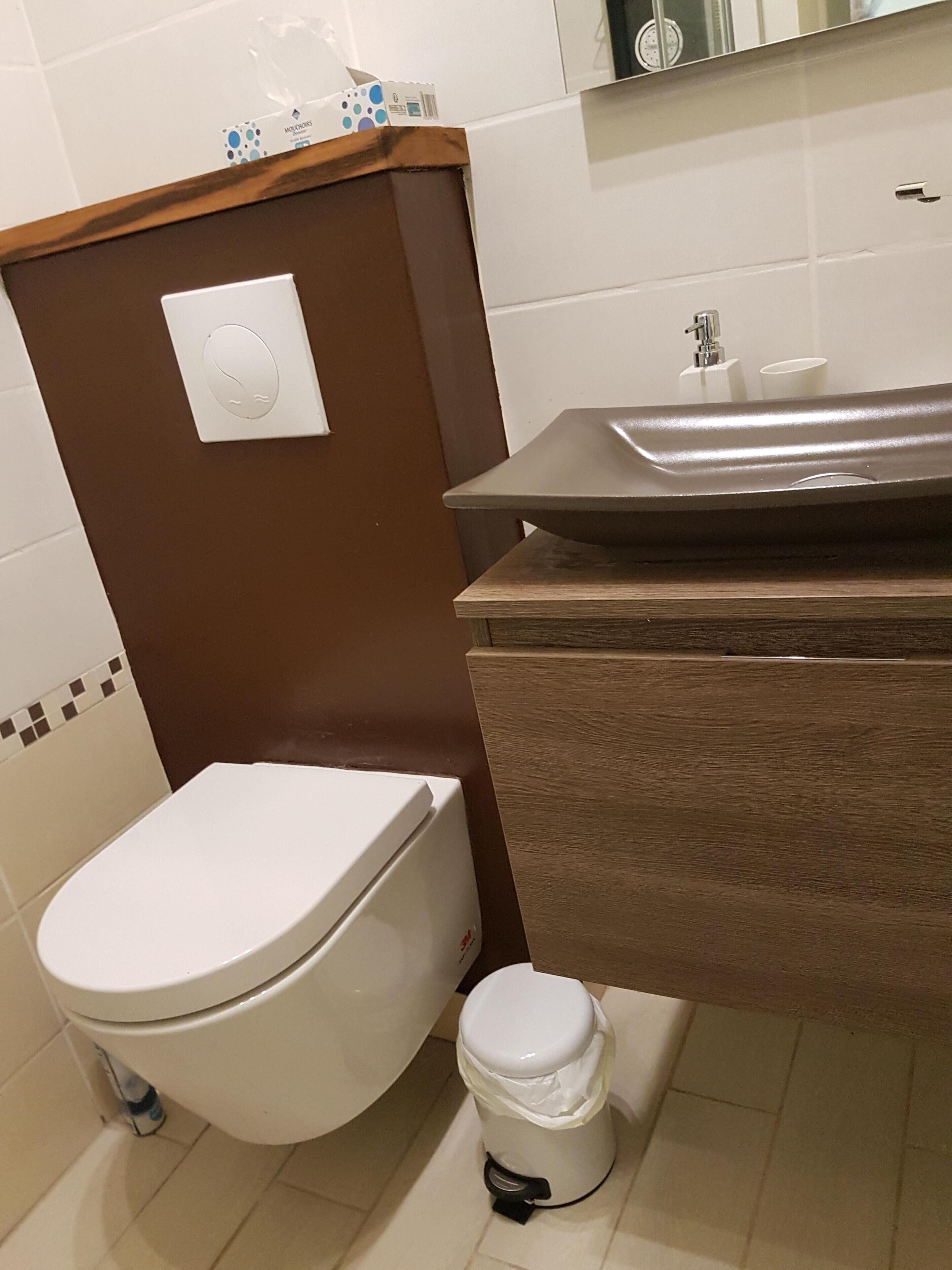 Une salle de bain comprenant des toilettes, un bidet, un lavabo et un miroir.