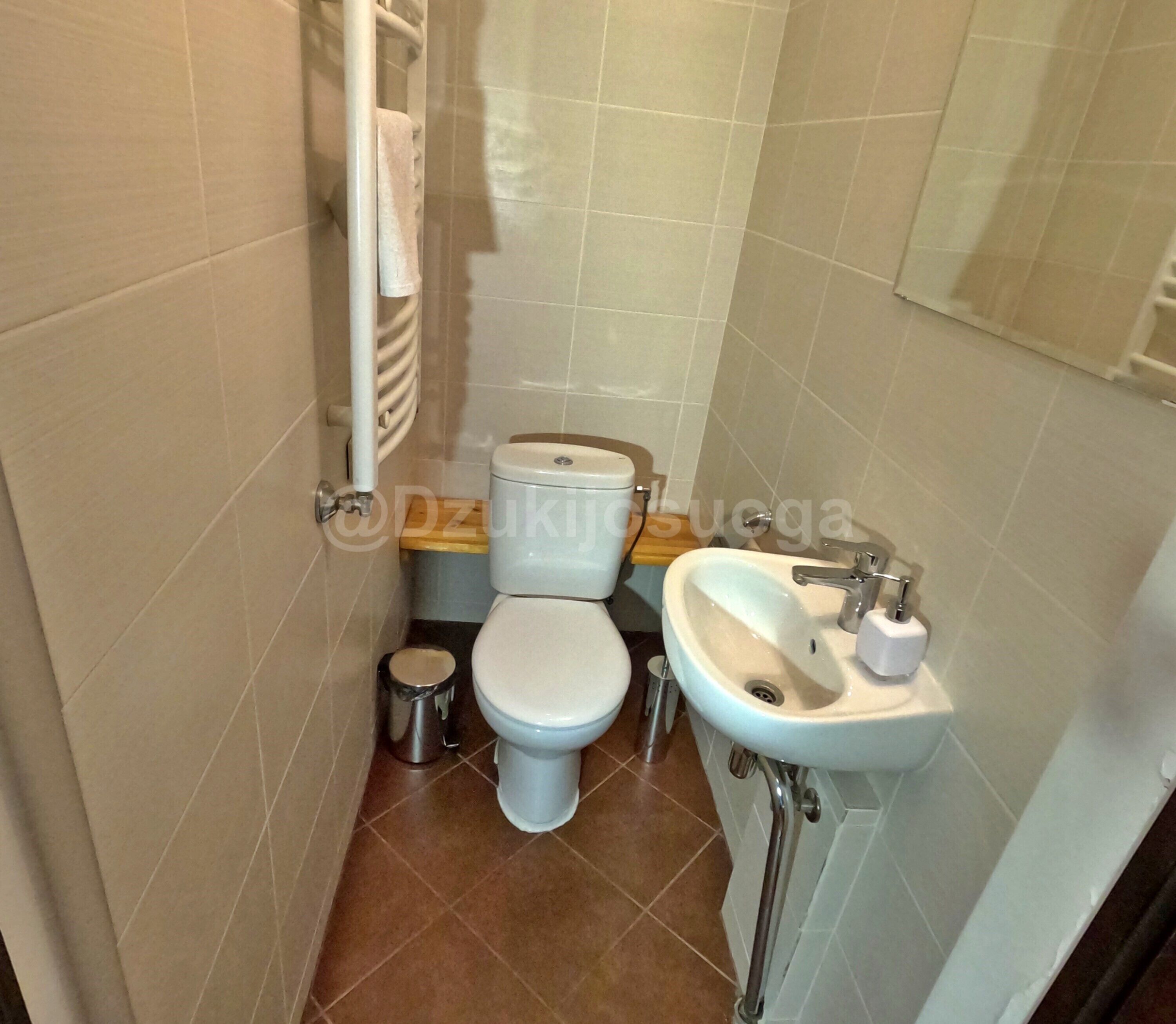 A small bathroom with a toilet, sink, and a trash bin.