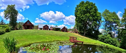 Vacnza magnifique villa à la périphérie de la forêt et de l'eau près de Druskininkai