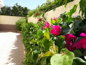 Jardines del alojamiento