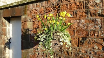 DĂ©tail de lâextĂ©rieur