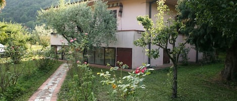 المنطقة المحيطة بالمنشأة