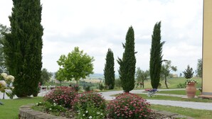 Ein Garten mit Steinrändern, hohen Bäumen und einem Weg zu einer Bank.