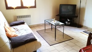 Ein Wohnzimmer mit einer Couch, einem Couchtisch, einem Fernseher und einer Heizung.