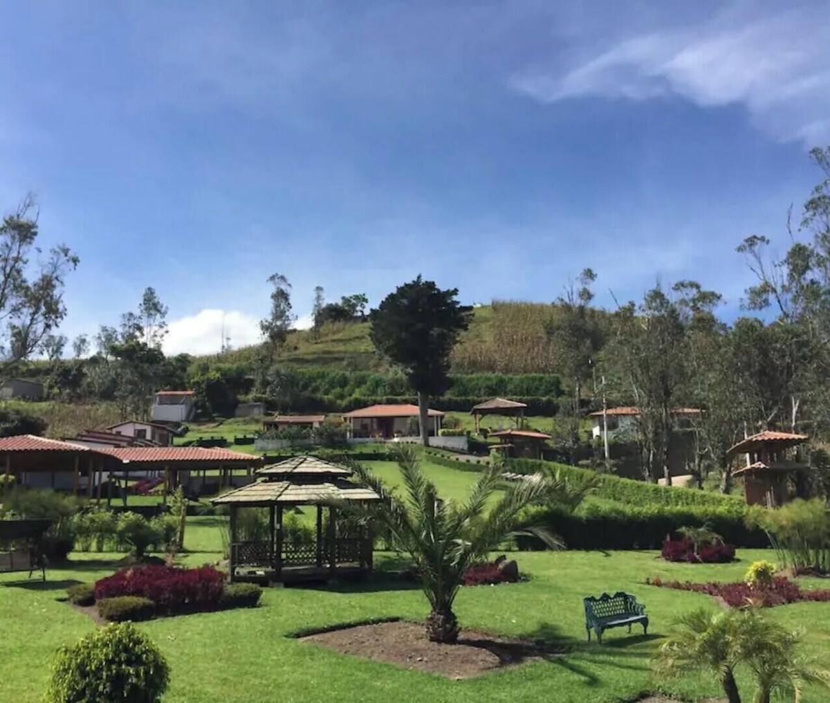 Imagen de perfil del propietario o de la propietaria